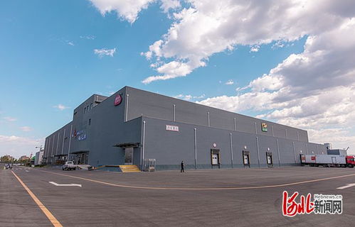 石家庄惠康食品董事长 技术创新驱动企业可持续发展