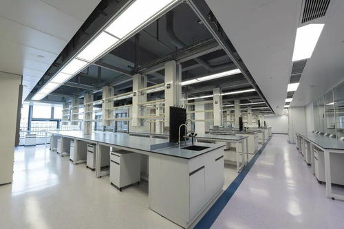 远大医药集团武汉研发中心正式开工，总投资12亿元推动技术创新开发